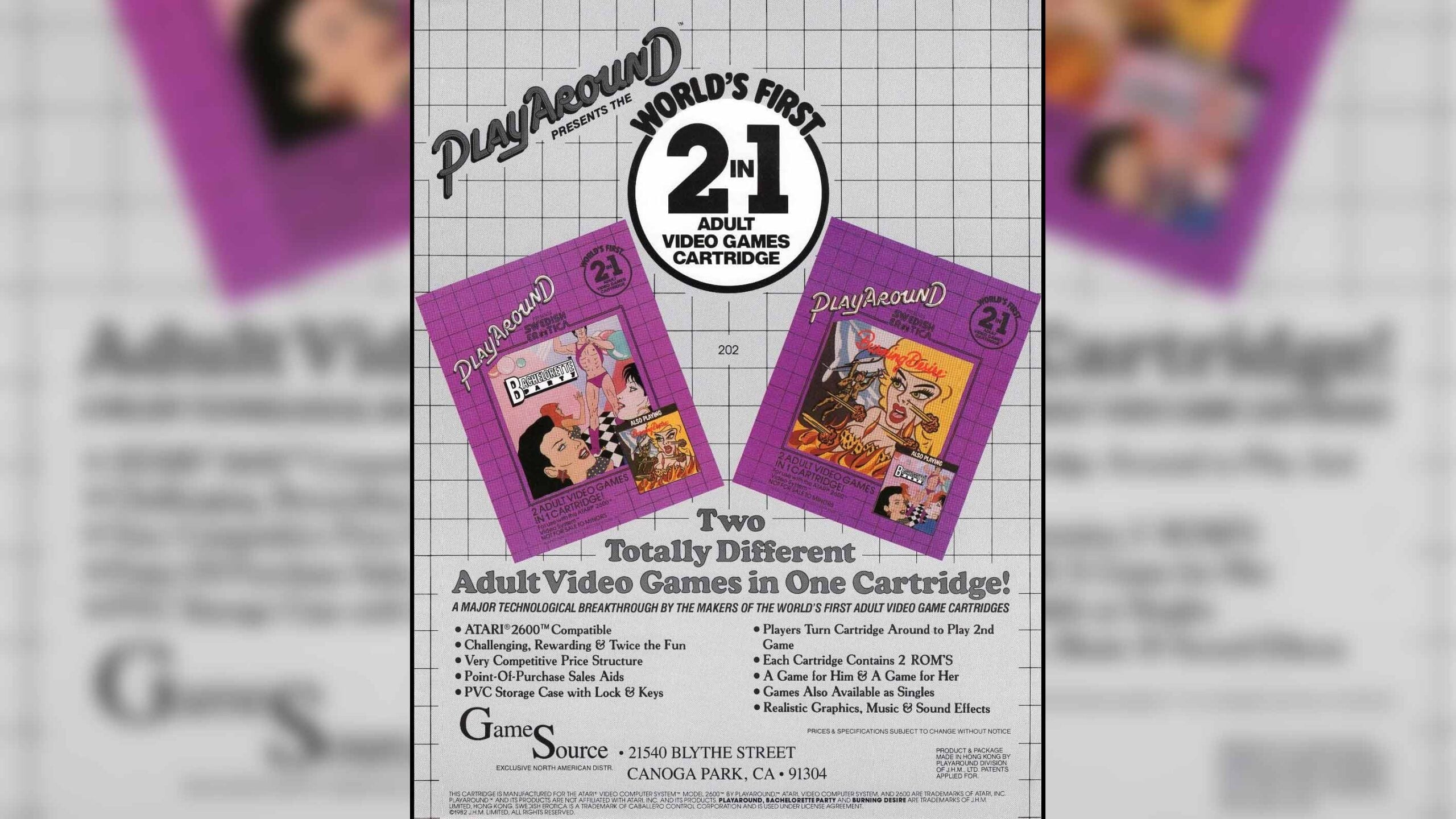 A GameSource-branded flyer promotes one of the company’s new 2-in-1 adult video game cartridges.