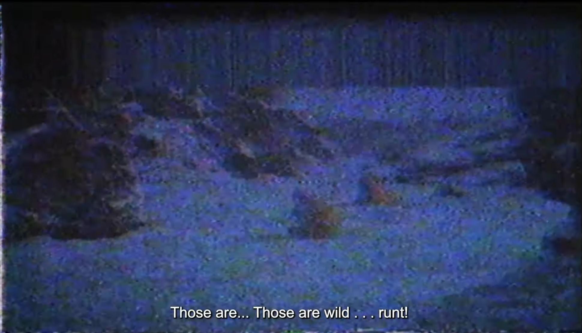 Screenshot: The Pokemon Company