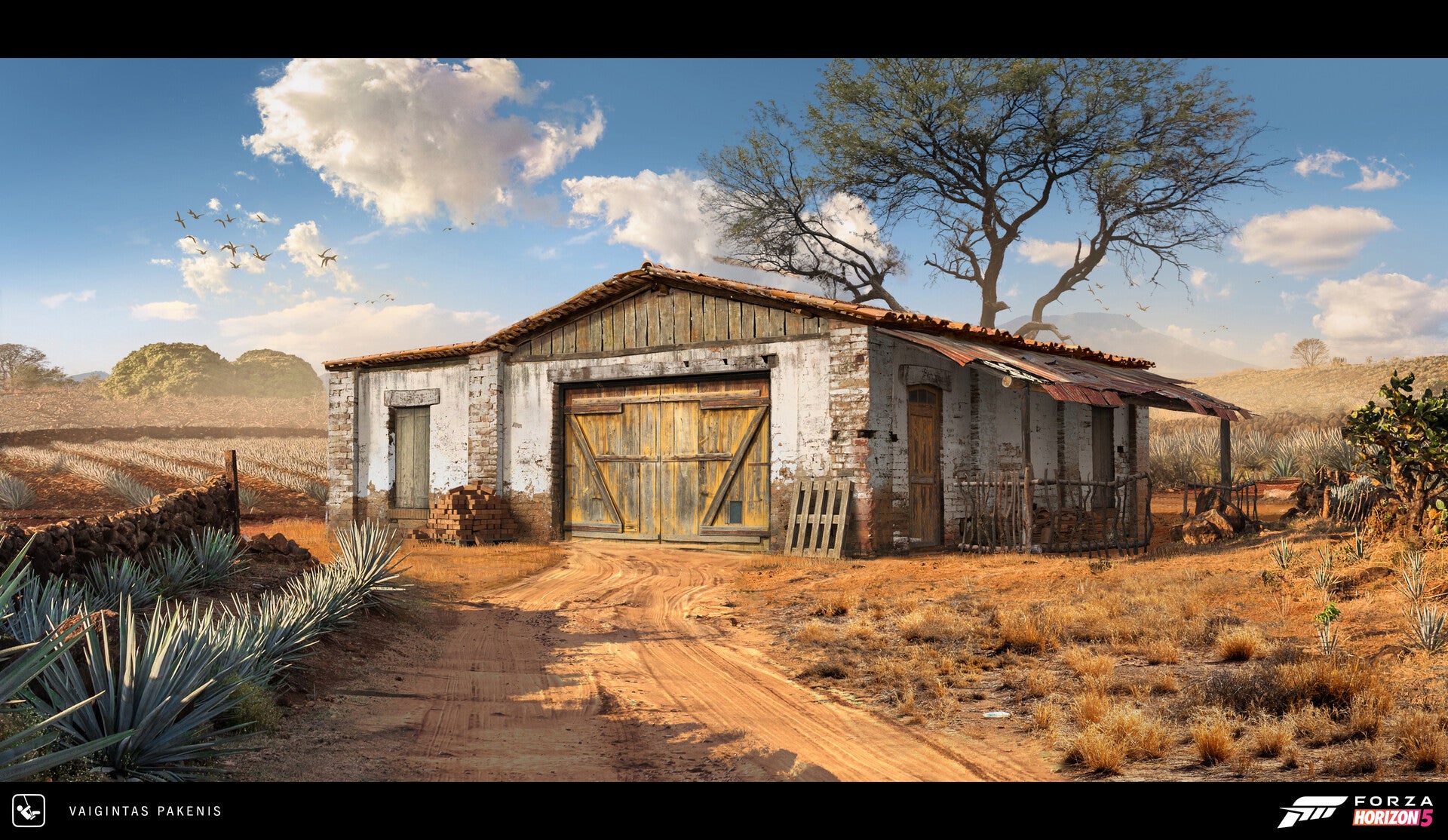 Image: Forza Horizon 5