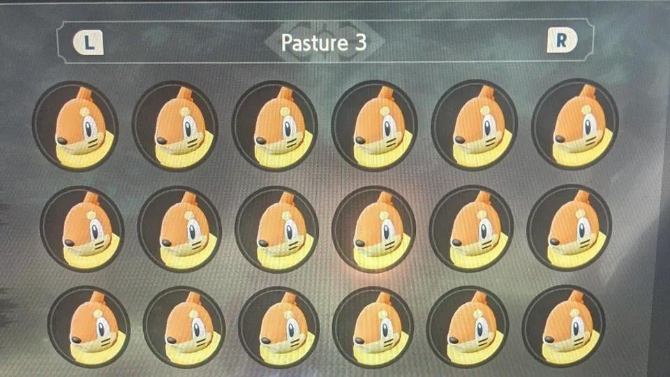 Photo: The Pokémon  Company / Reddit / iDidntThinkiWasGonna