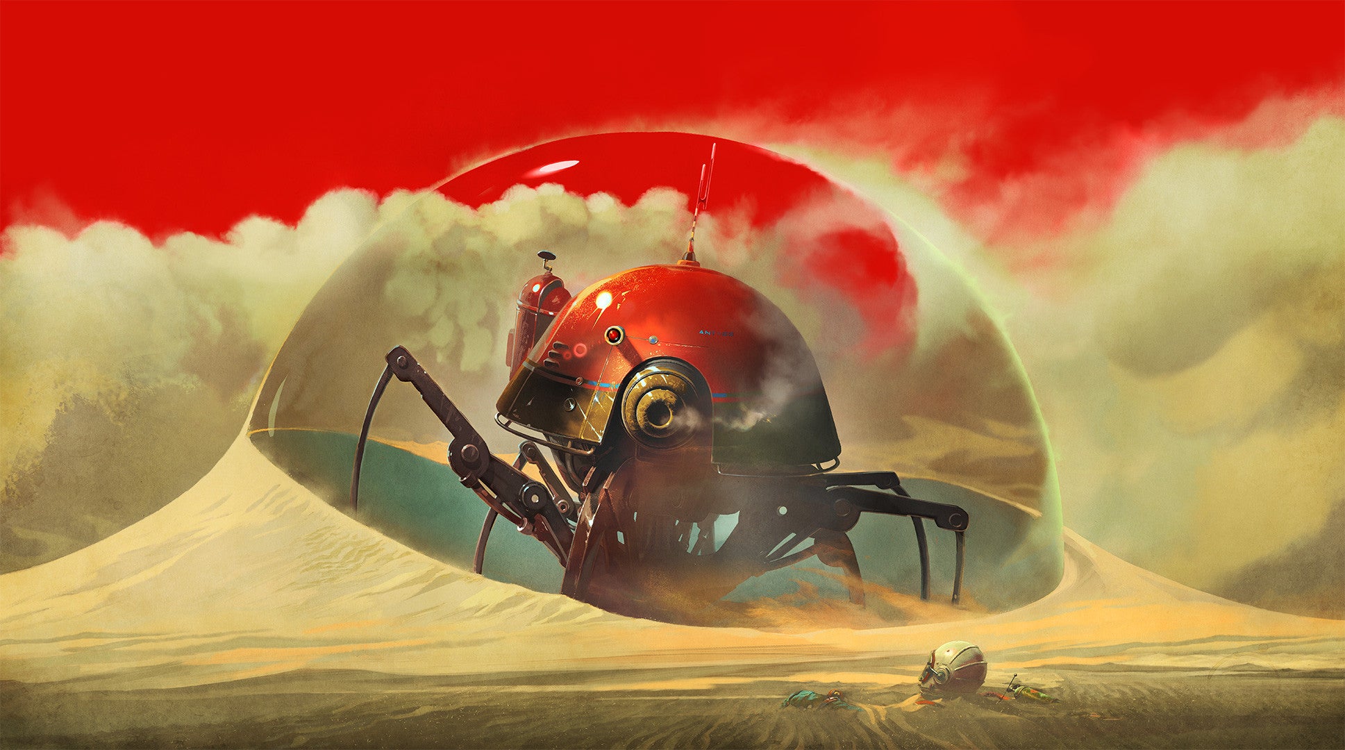 Image: Wojciech Ostrycharz