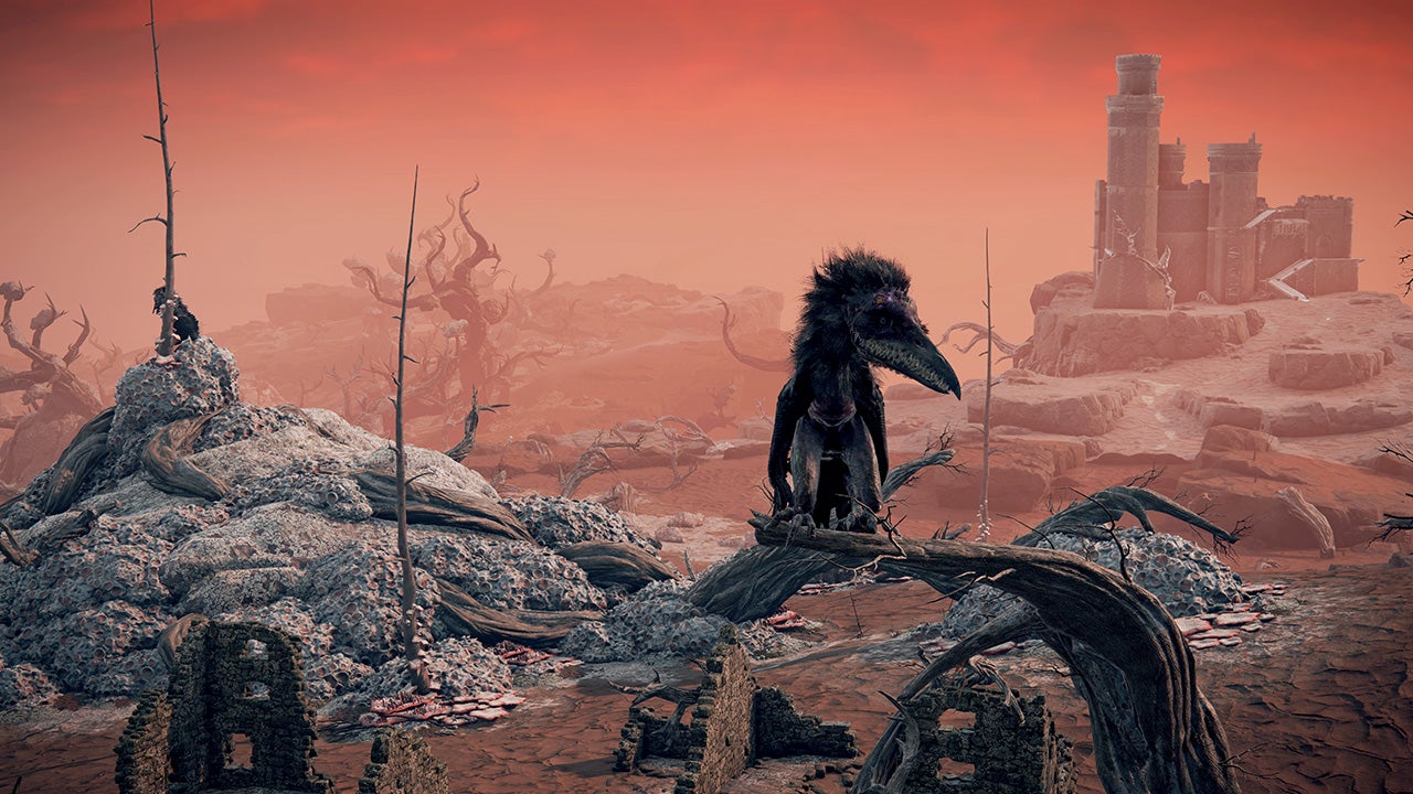 Screenshot: FromSoftware / Kotaku