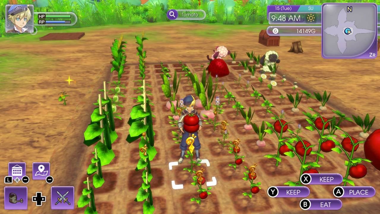 Screenshot: XSEED Games