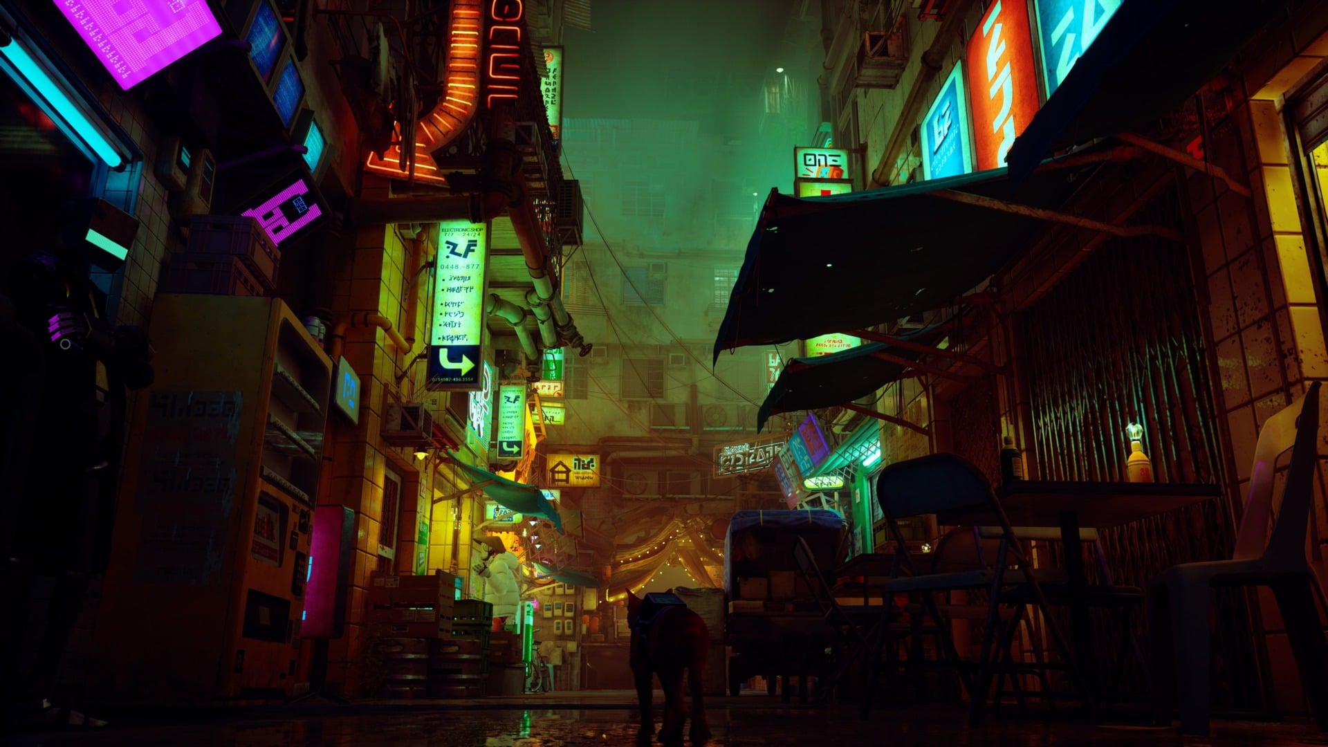 The gorgeous lighting of Stray’s Midtown