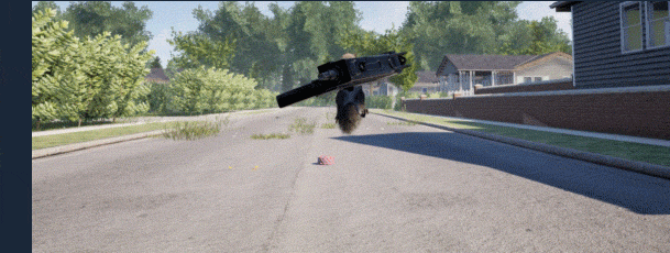 Gif: Daniel DeEntremont