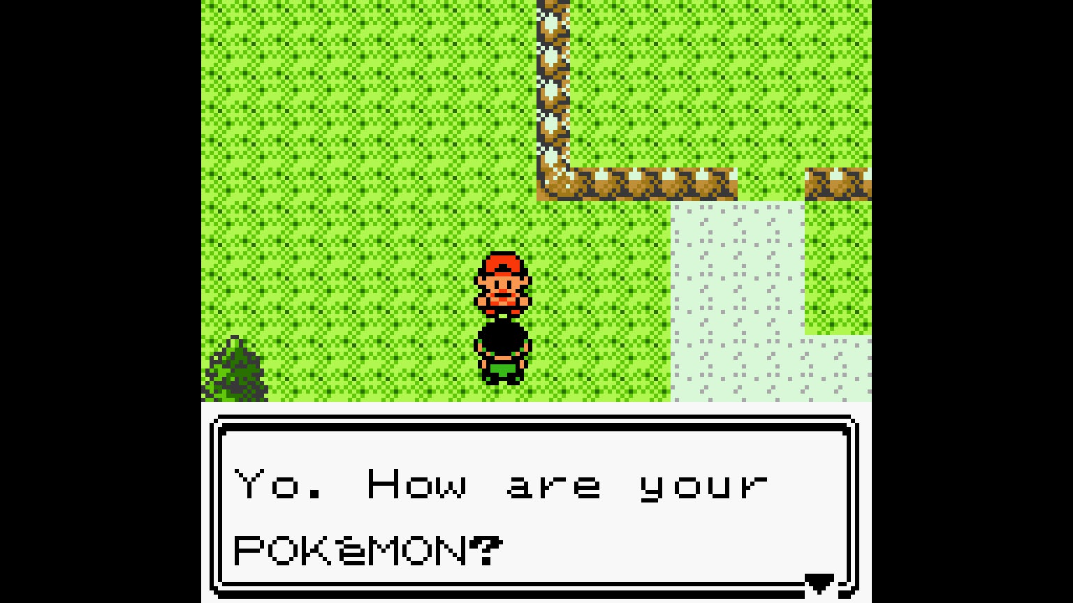 Screenshot: The Pokémon Company / MobyGames
