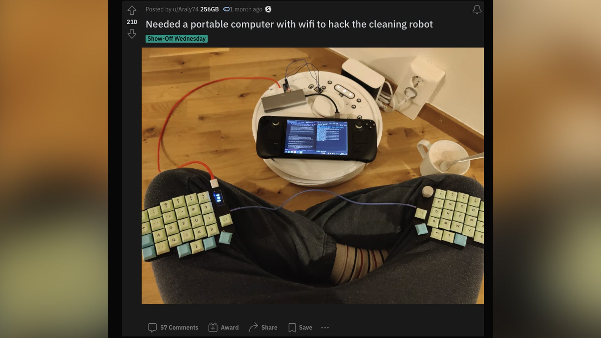 Screenshot: Araly74 / Kotaku