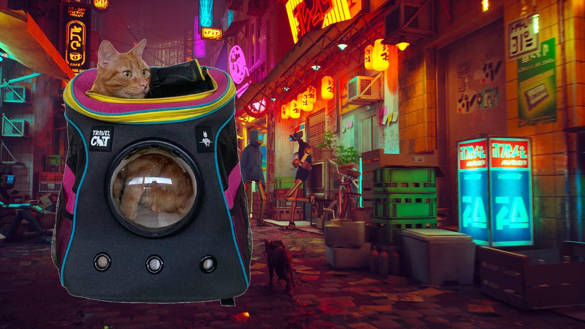 Image: Travel Cat / Annapurna Interactive / Kotaku