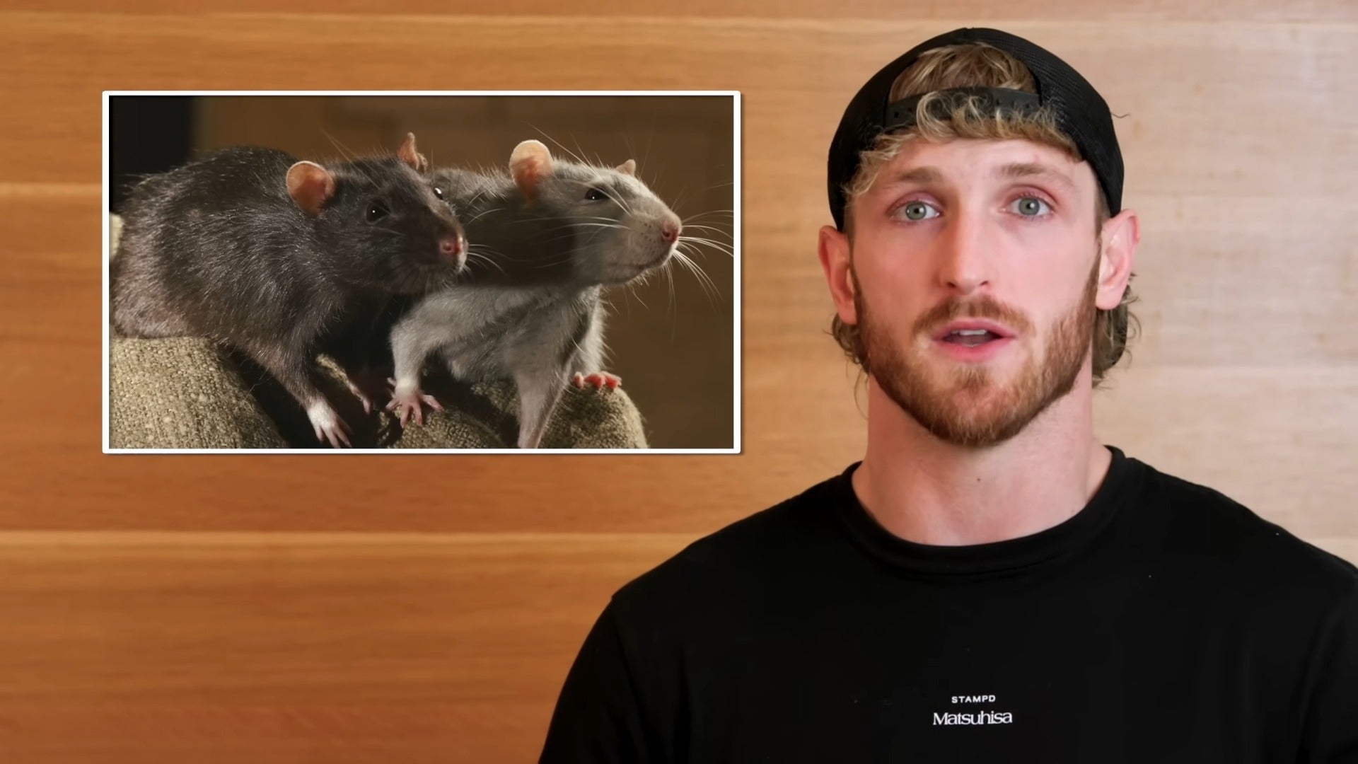 Screenshot: Logan Paul