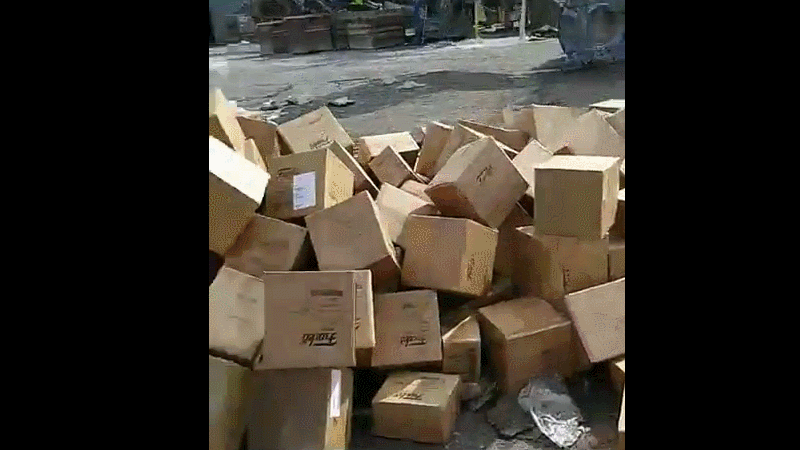 Gif: edelwiess20 / Reddit