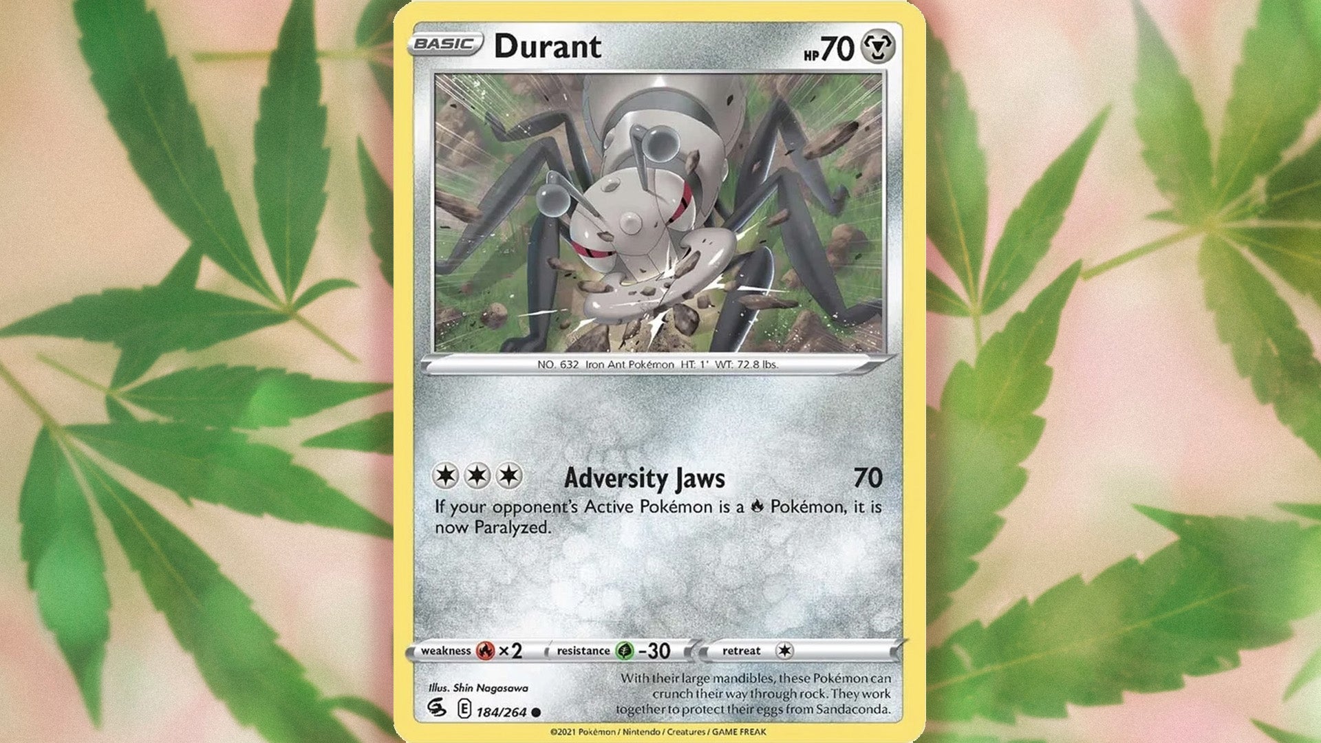 Image: The Pokémon Company / Nancy Gallardo / Kotaku