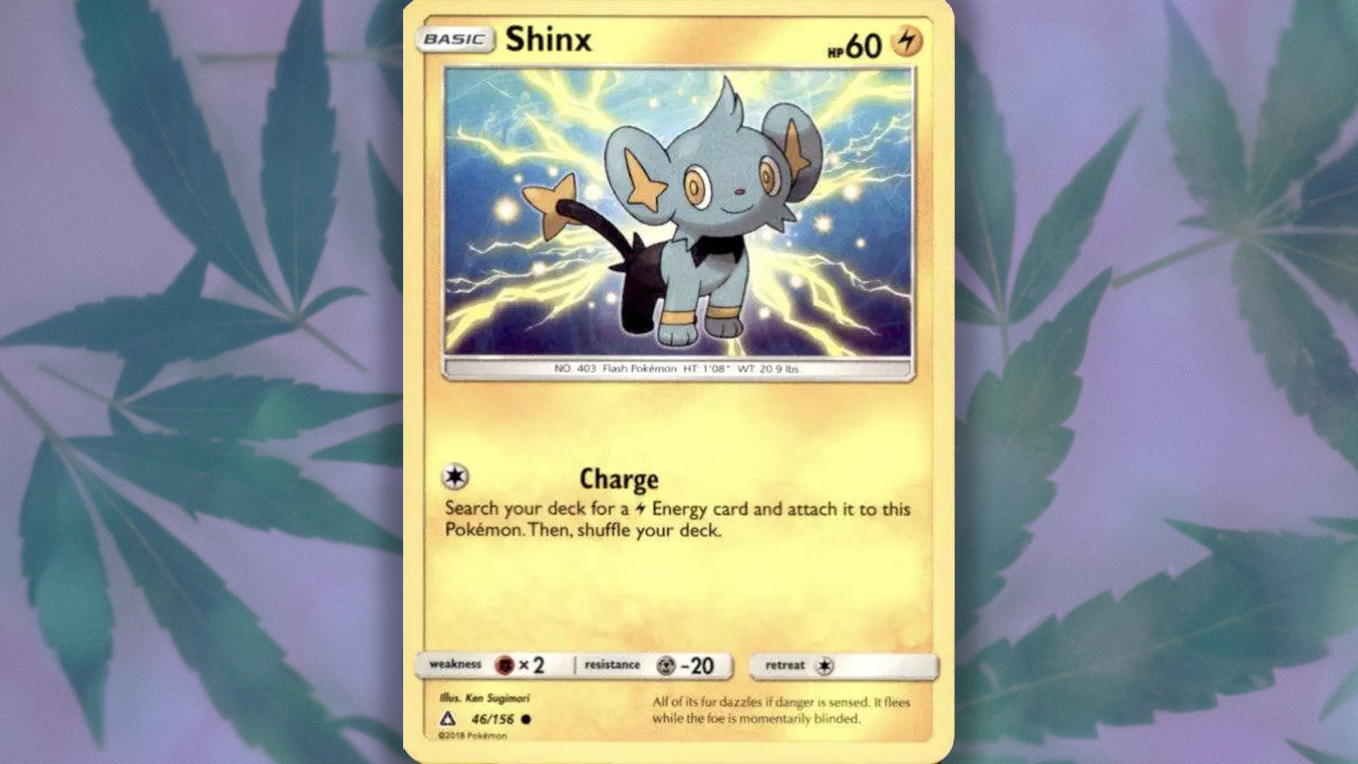 Image: The Pokémon Company / Nancy Gallardo / Kotaku