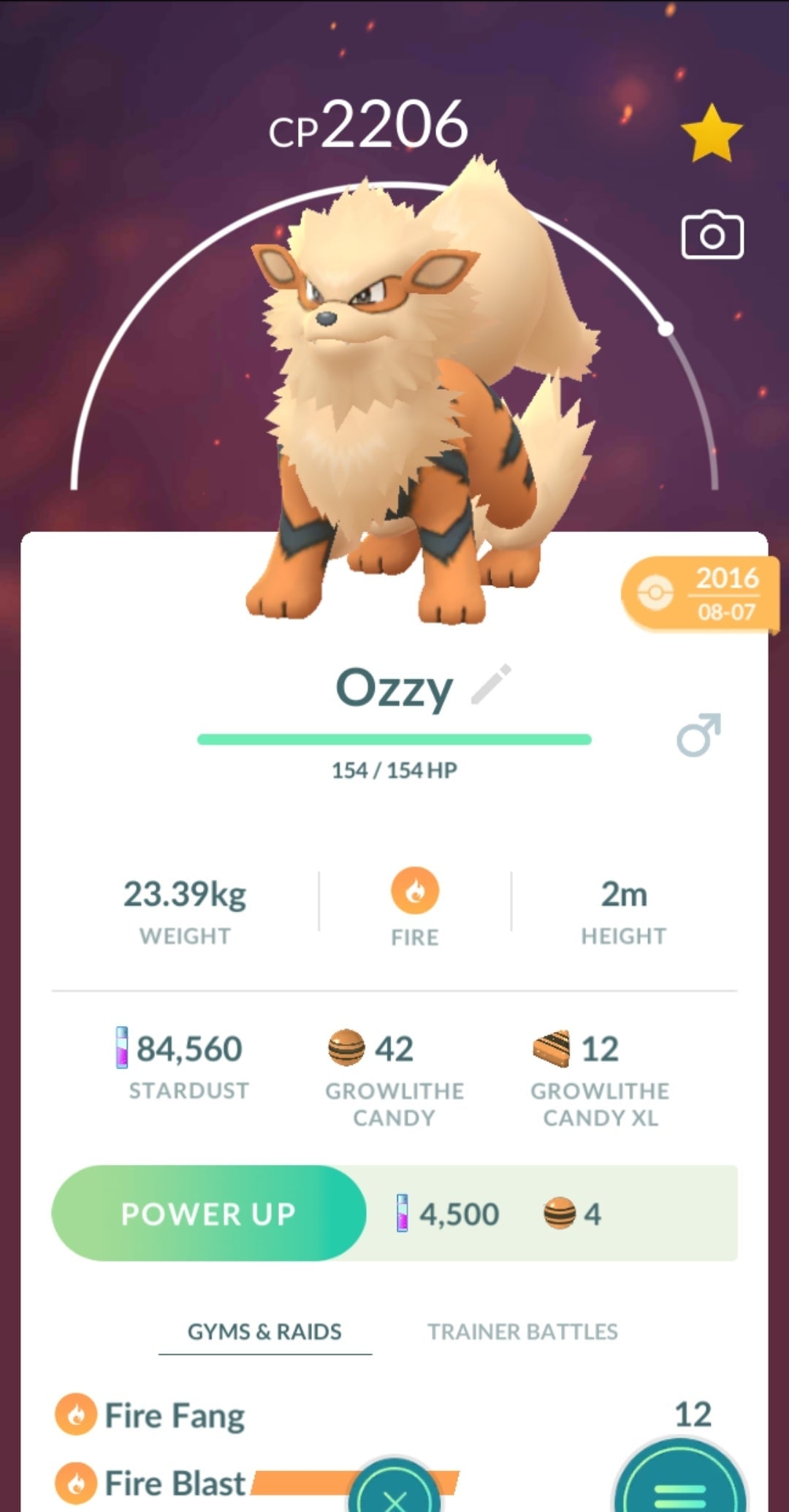 Pokémon Go’s walking mechanics let pet owners take walks with the lost loved ones again.