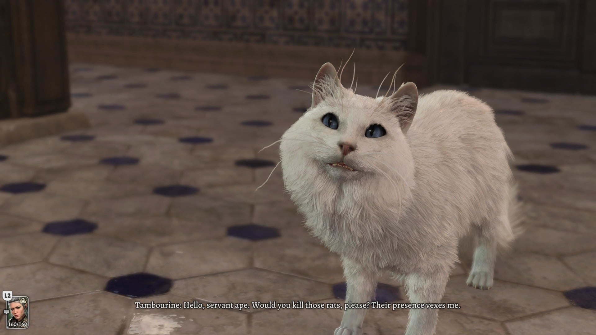 Screenshot: Kotaku / Larian Studios