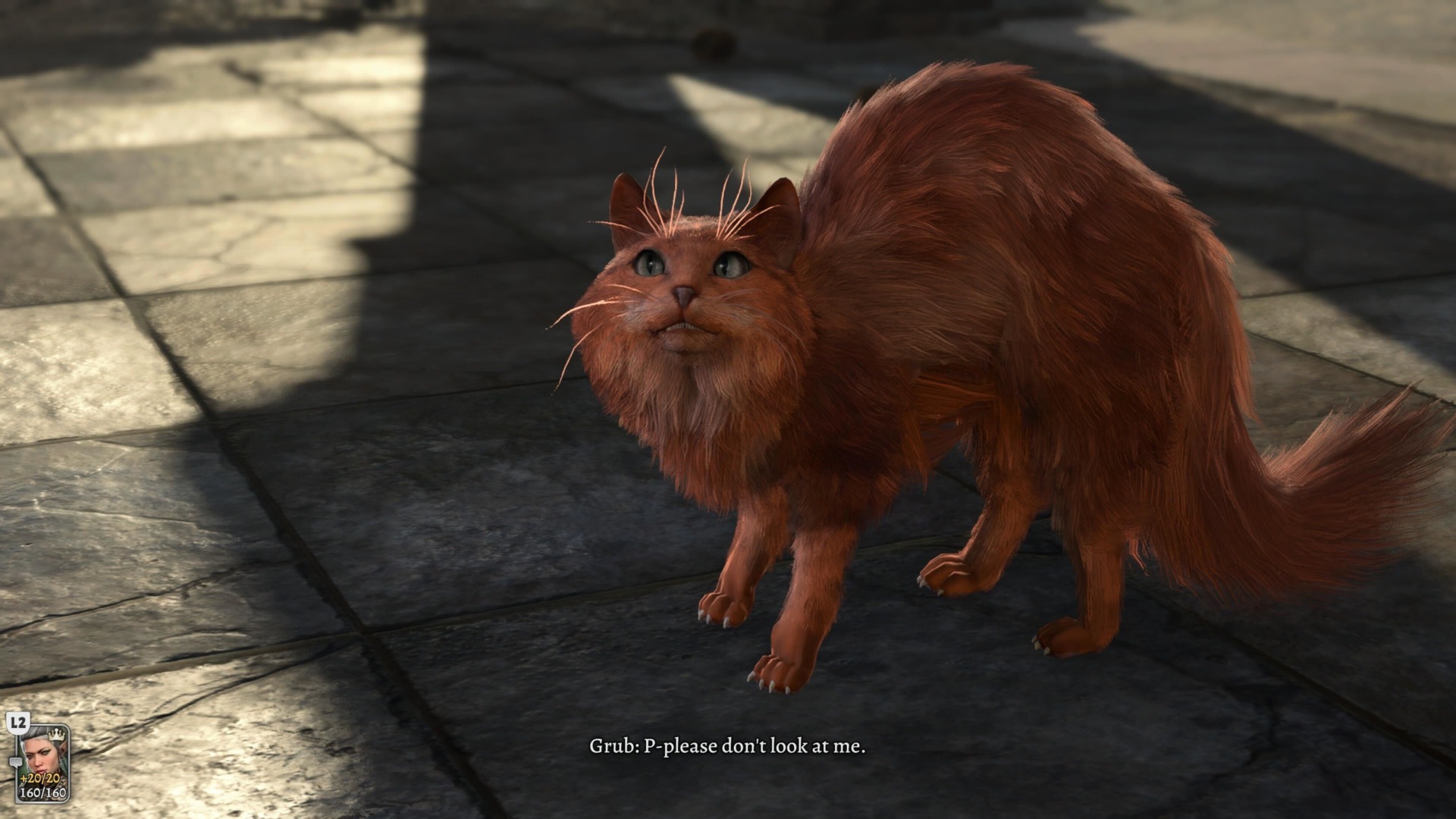 Screenshot: Kotaku / Larian Studios