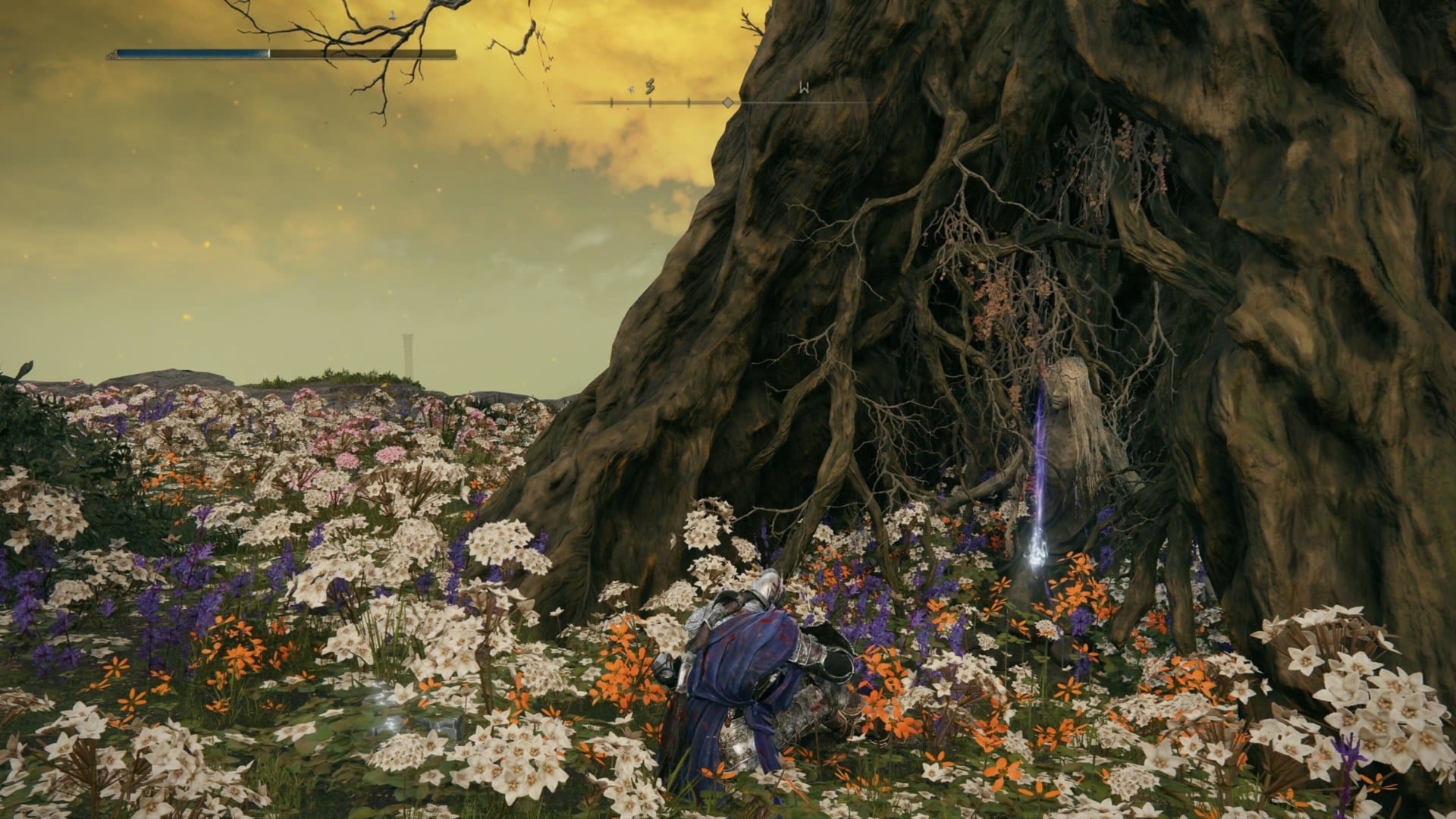 Screenshot: FromSoftware / Kotaku