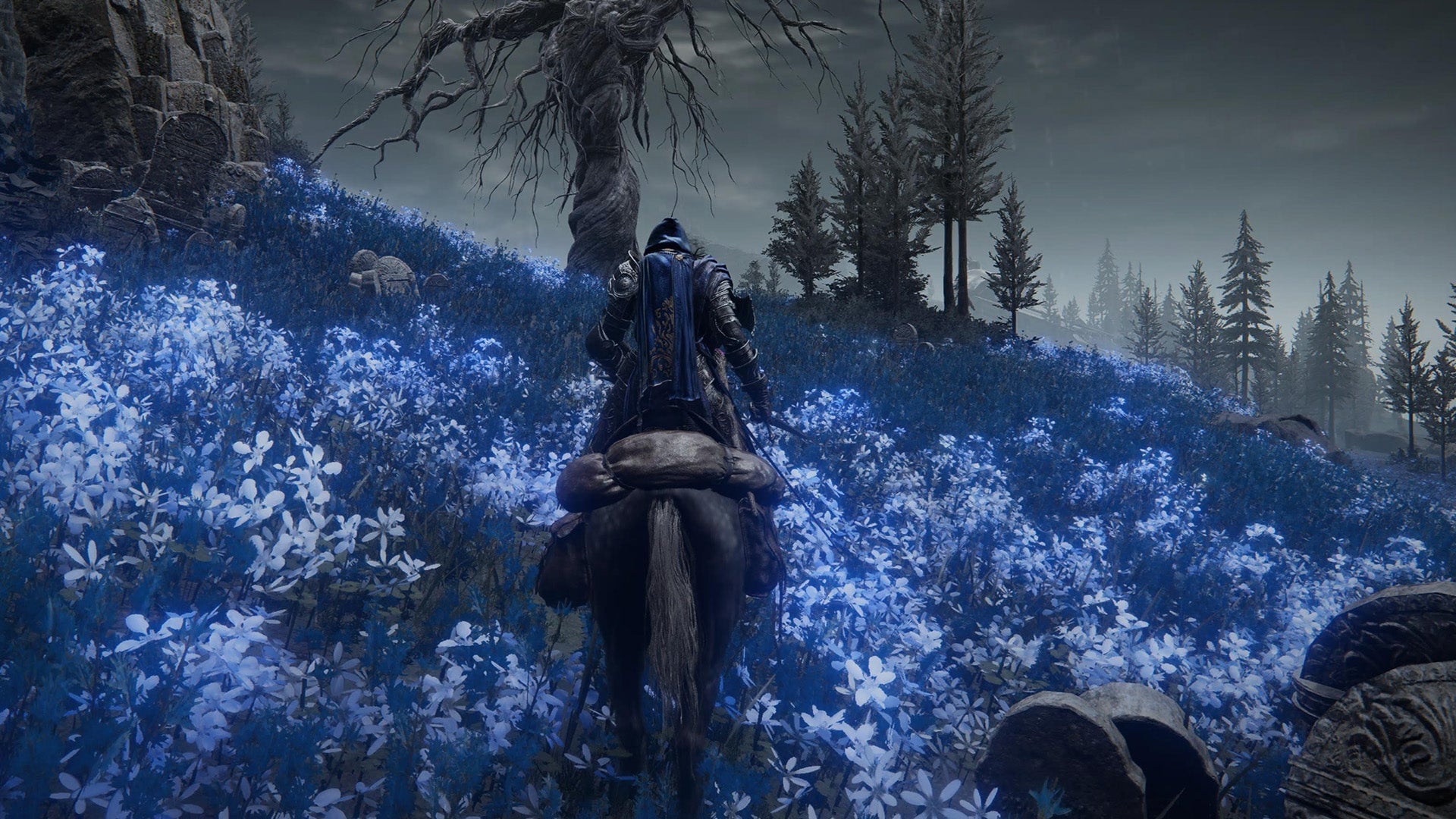 Screenshot: FromSoftware / Kotaku