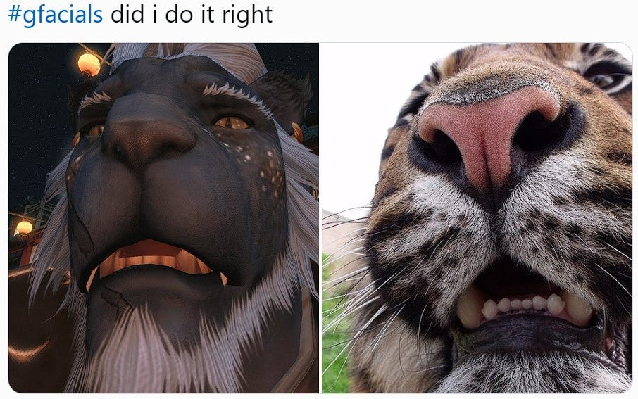 Image: X (formerly Twitter)