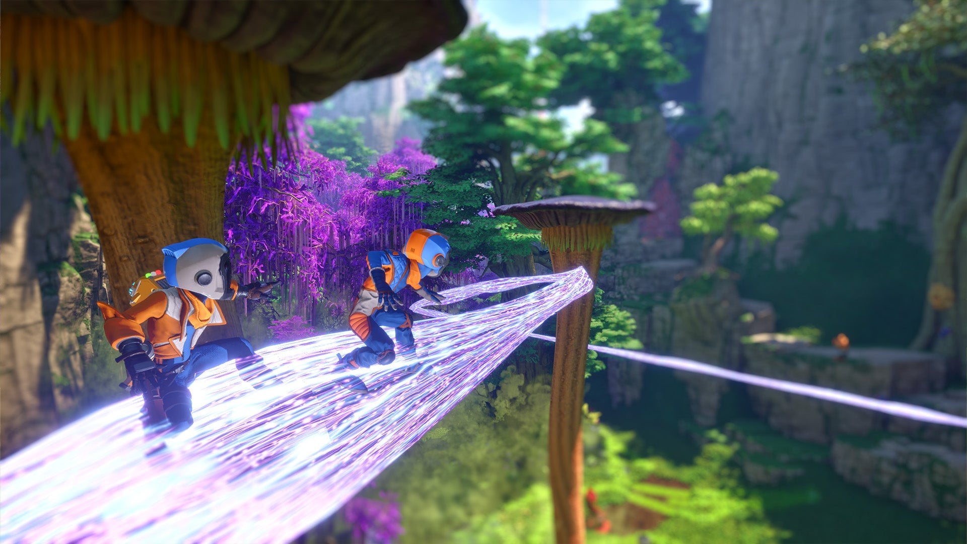 Image: Raccoon Logic