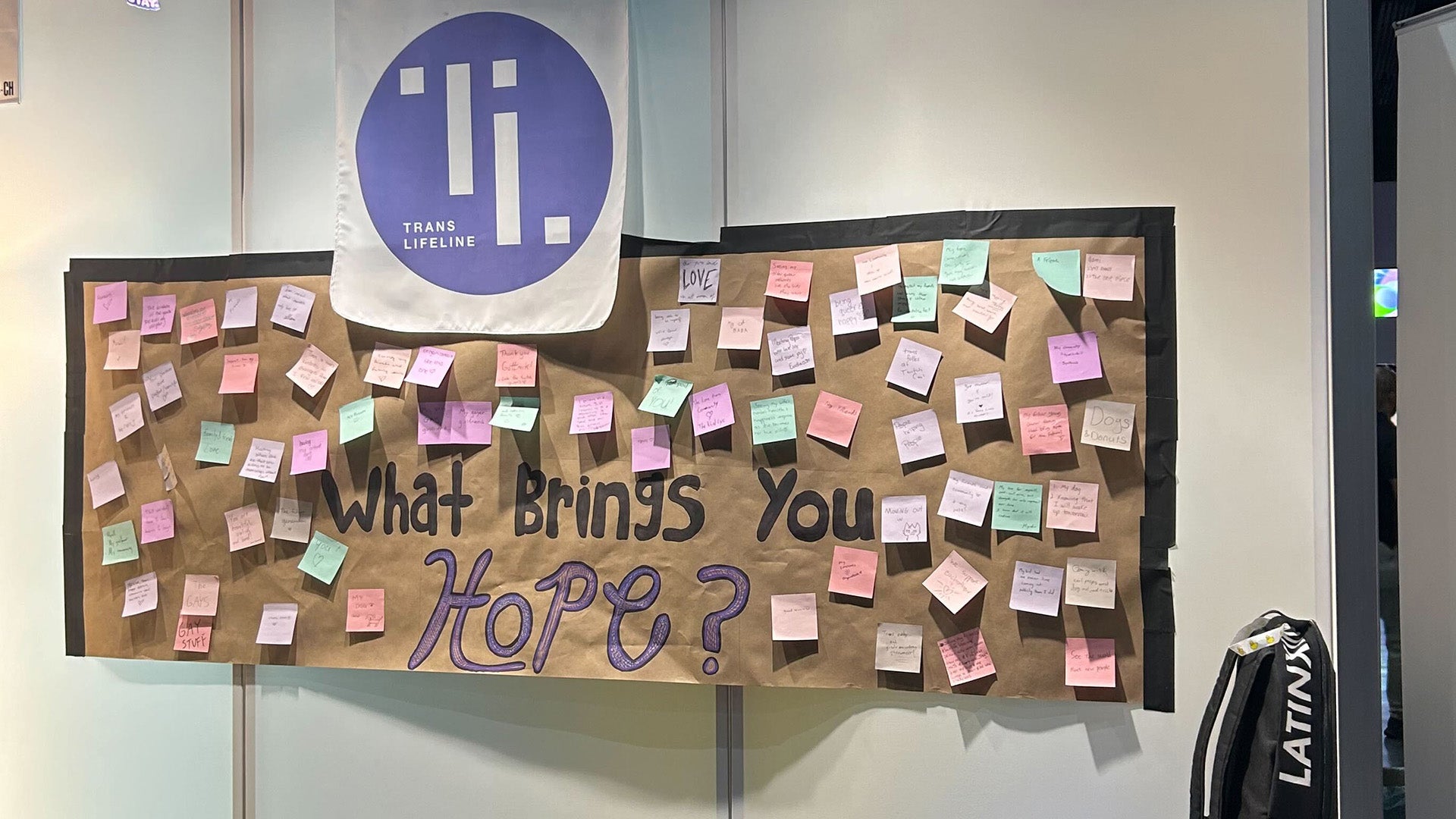 Image: Alyssa Mercante / Twitch