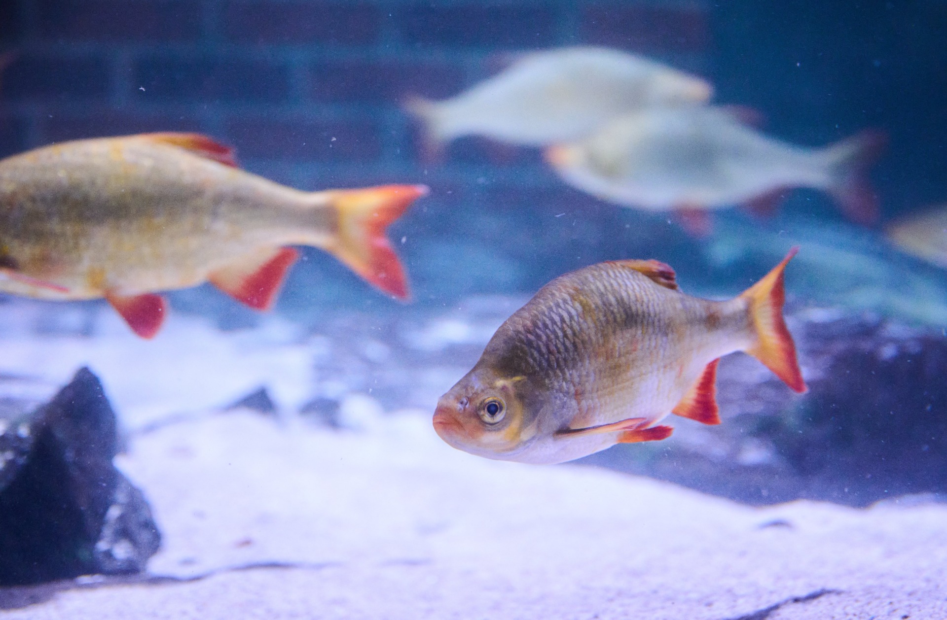 Photo: Annette Riedl/picture alliance via Getty Images