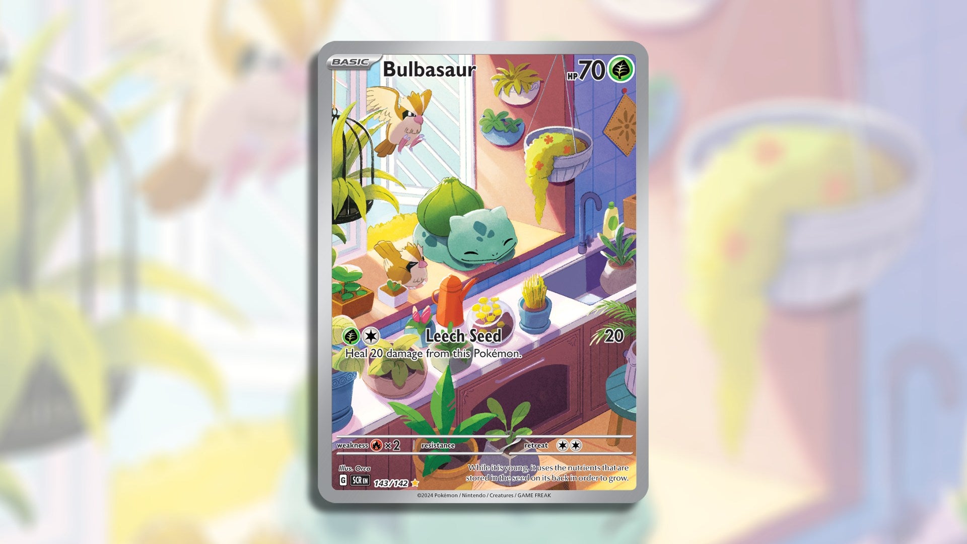 Image: The Pokémon Company / Kotaku