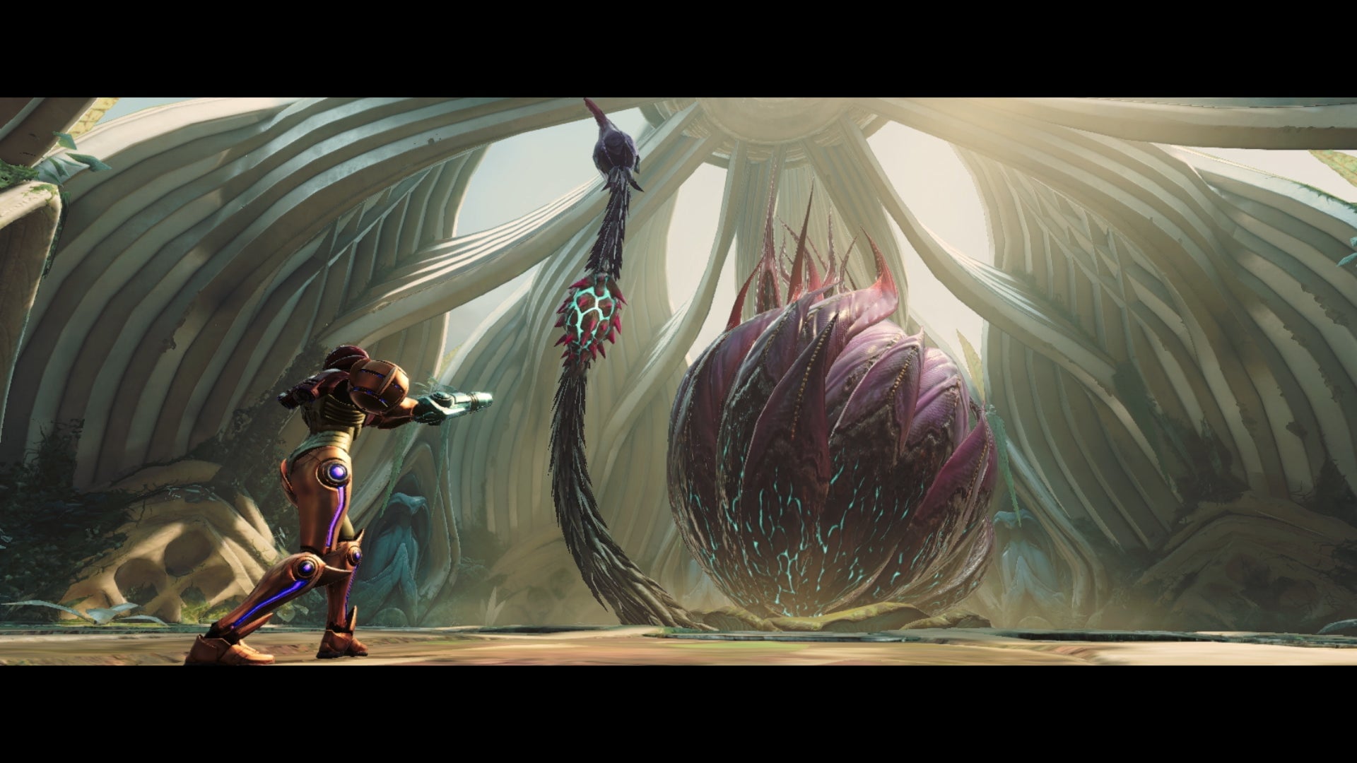 Screenshot: Nintendo