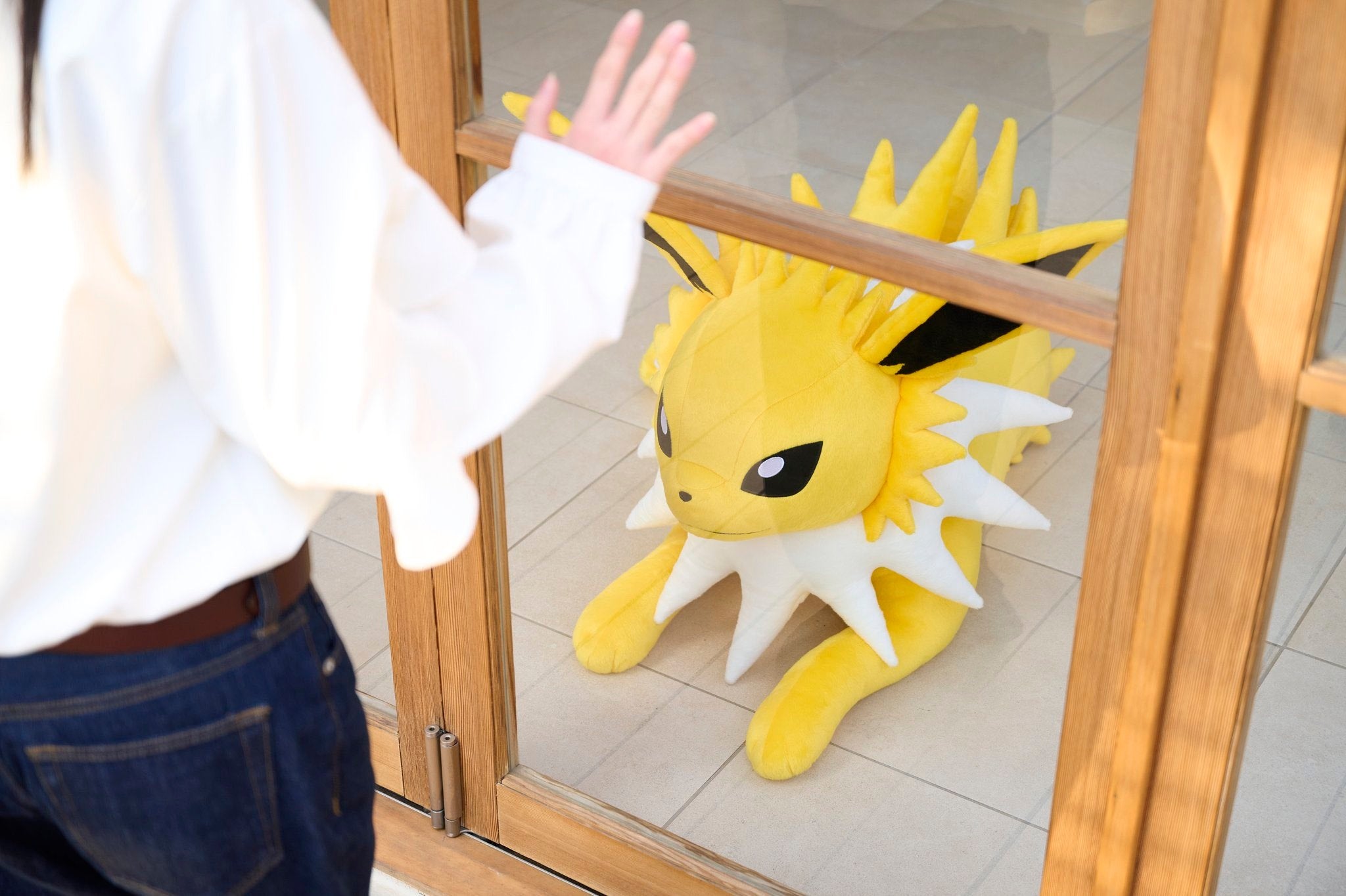 Image: The Pokémon Company