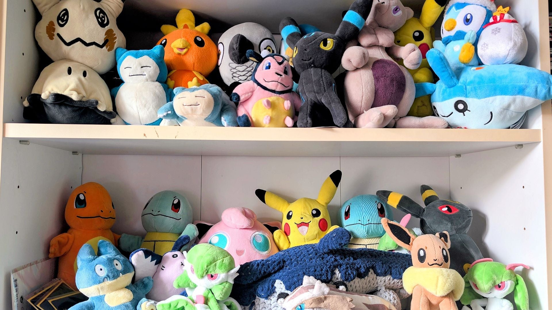 Photo: Kotaku / John Walker