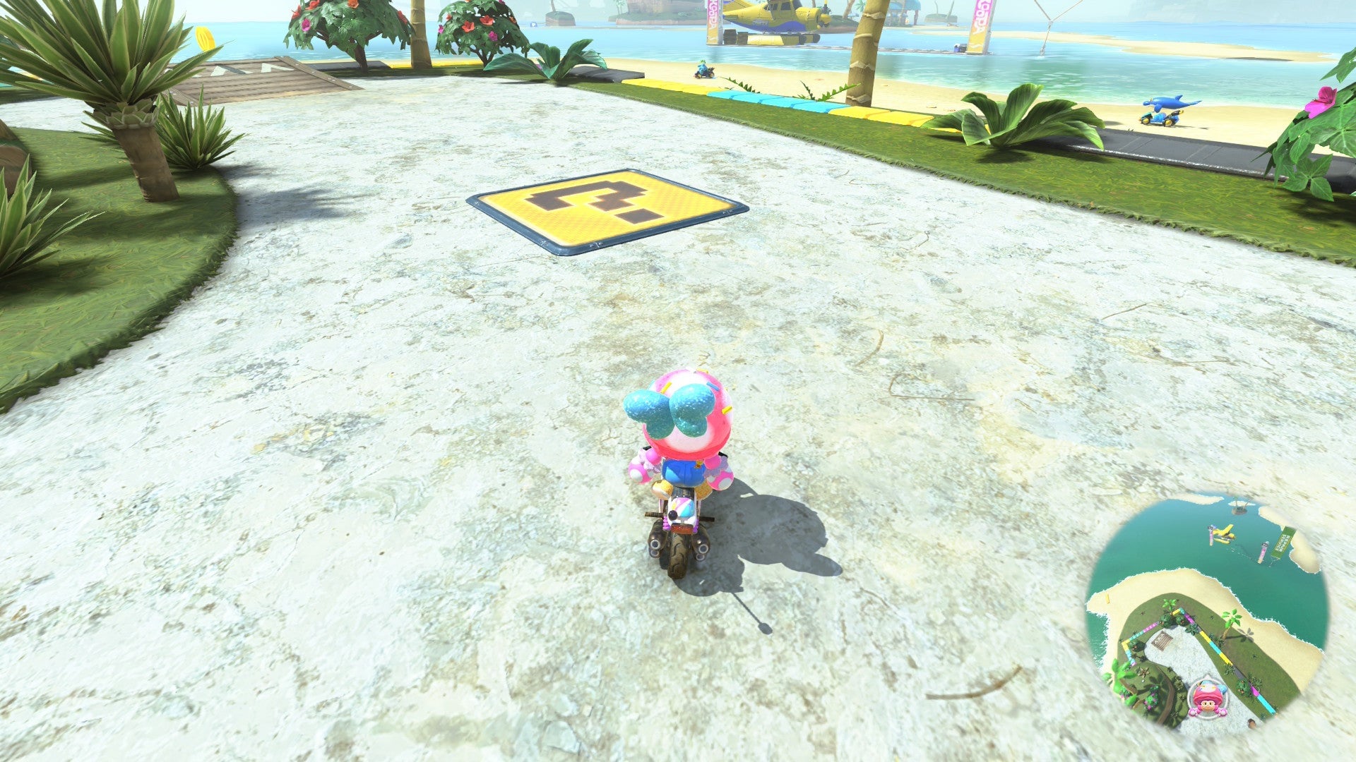 Screenshot: Nintendo / Billy Givens / Kotaku