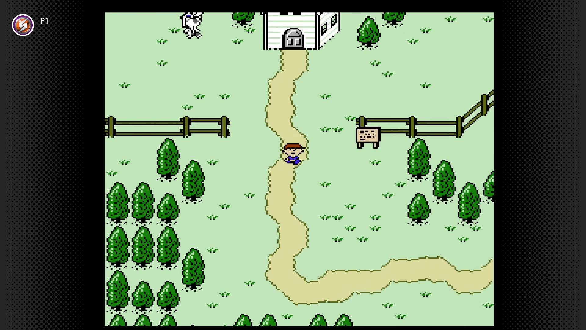 A child walks down a path.