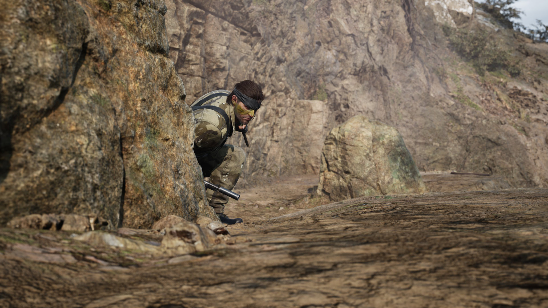 Snake peaks out from behind cover.