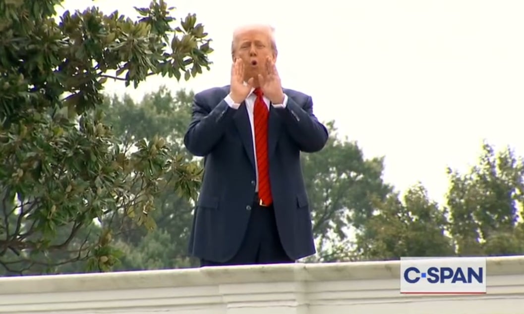Trump stands on the White House roof.
