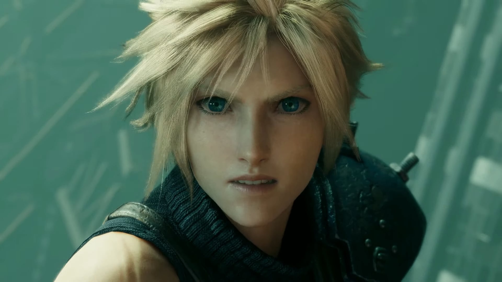 Cloud looks at the camera.