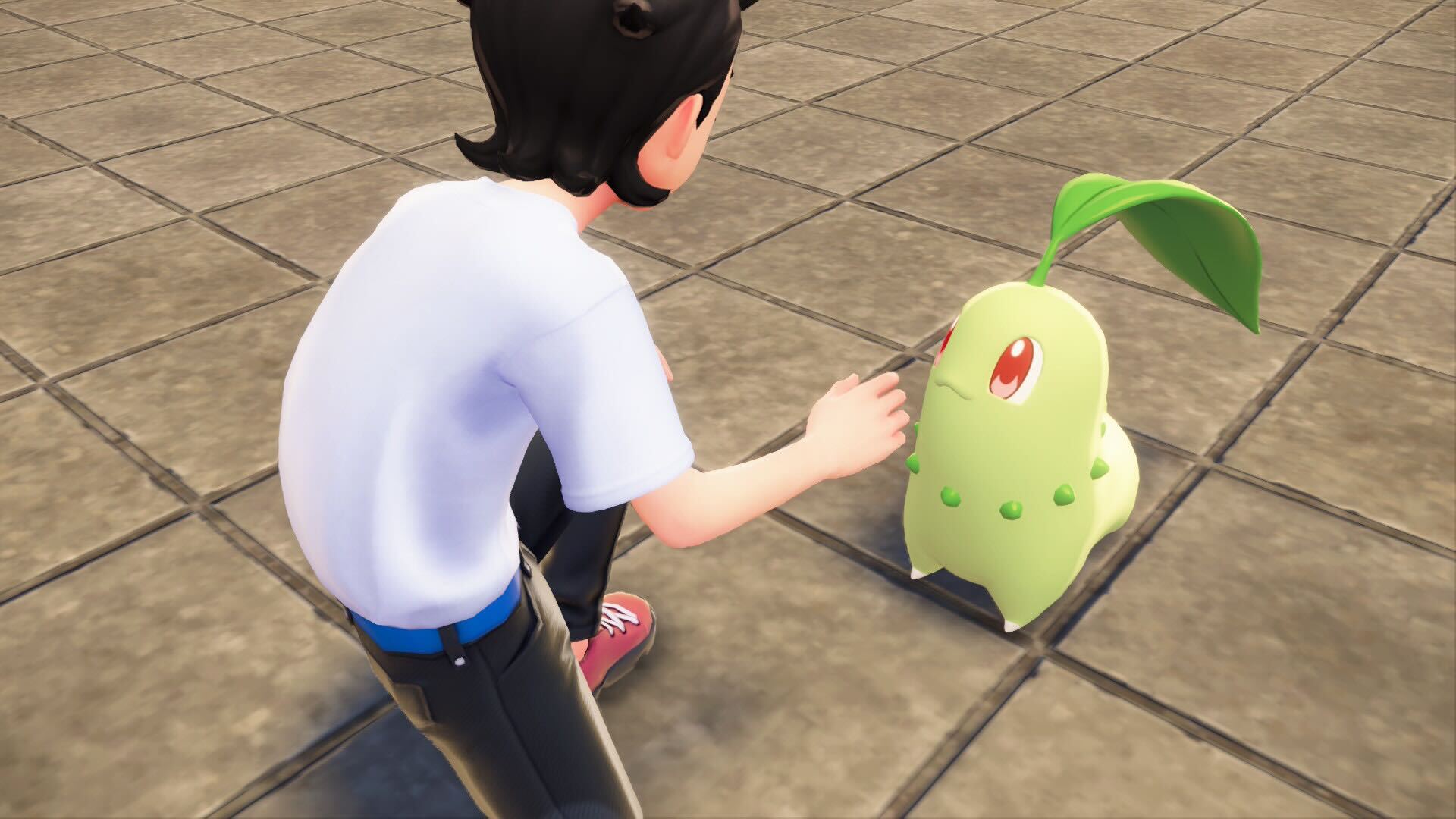 A trainer fist bumps Chikorita