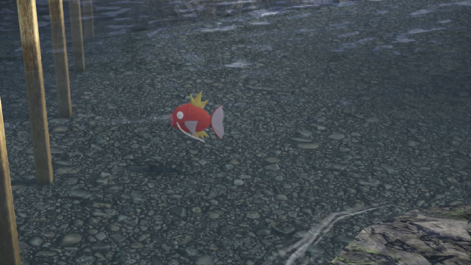 A Magikarp swimming in the water.