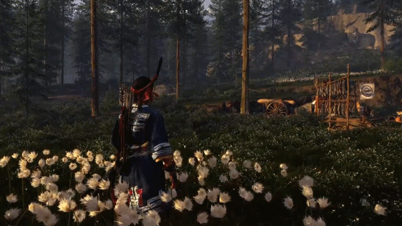 Wind rolls through flowers and tall grass. 