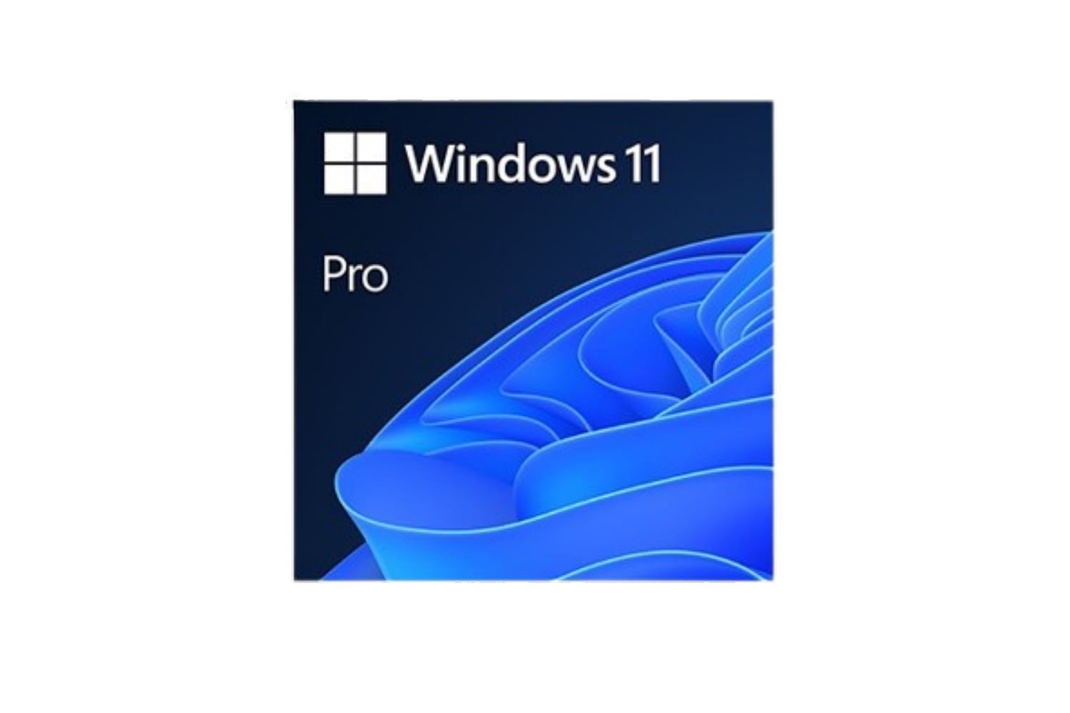 Windows 11 Pro