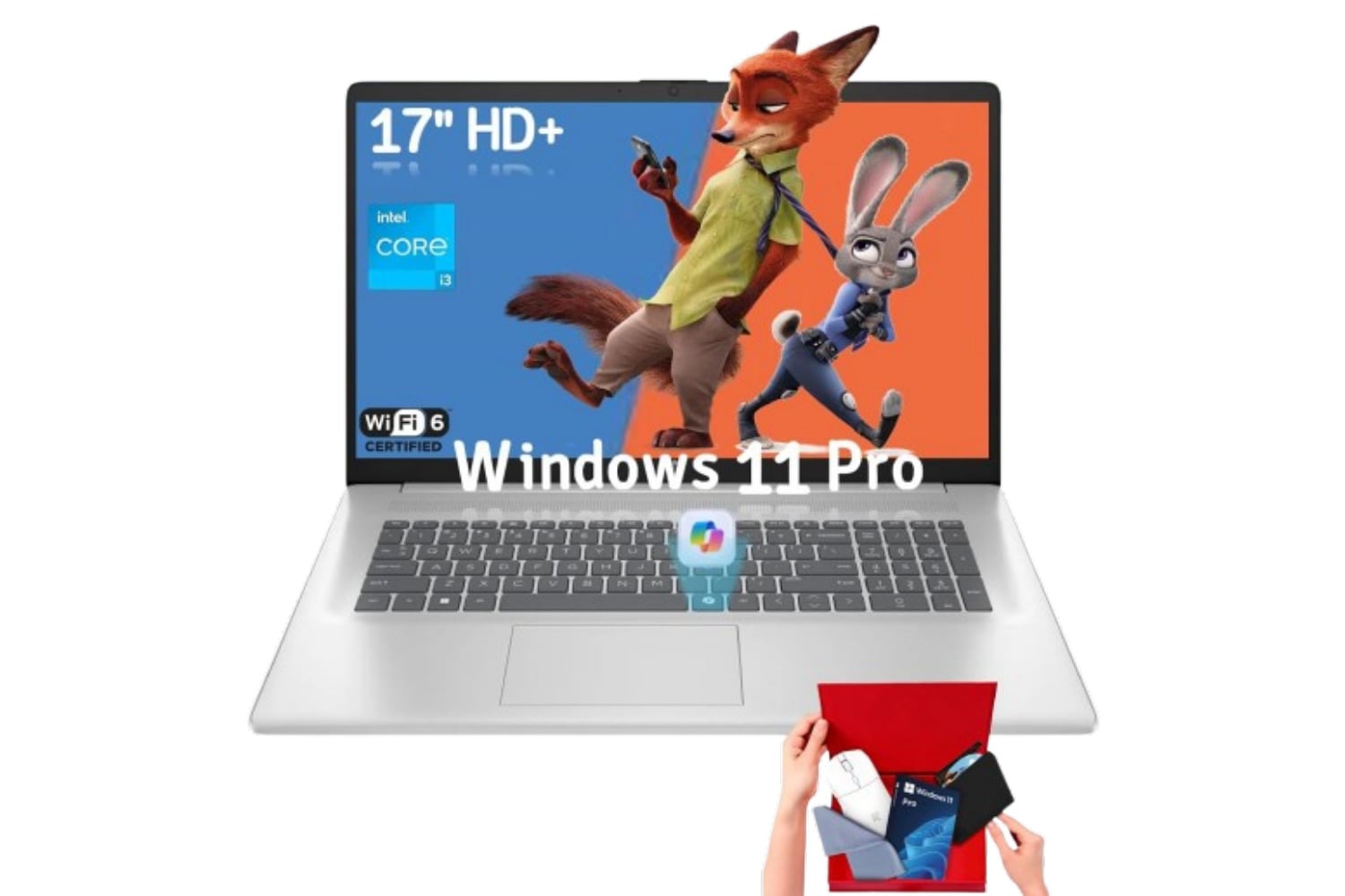 Hp Laptop