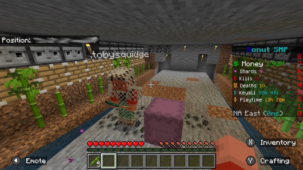 Our bamboo and sugarcane farm.