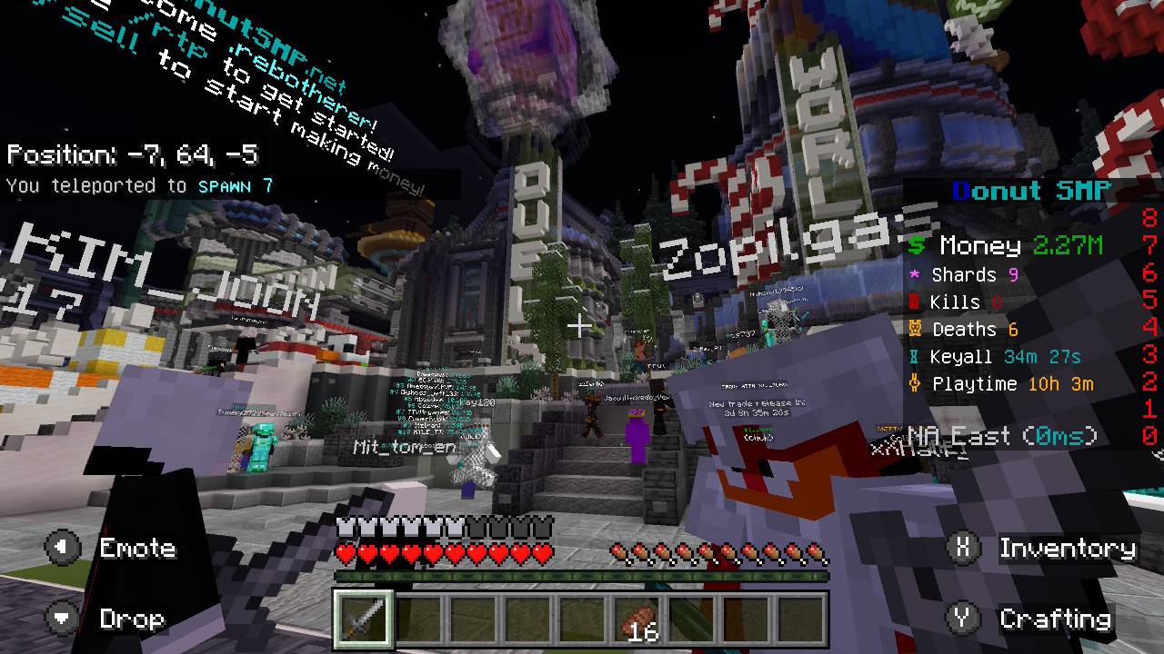 The madness of the DonutSMP lobby.