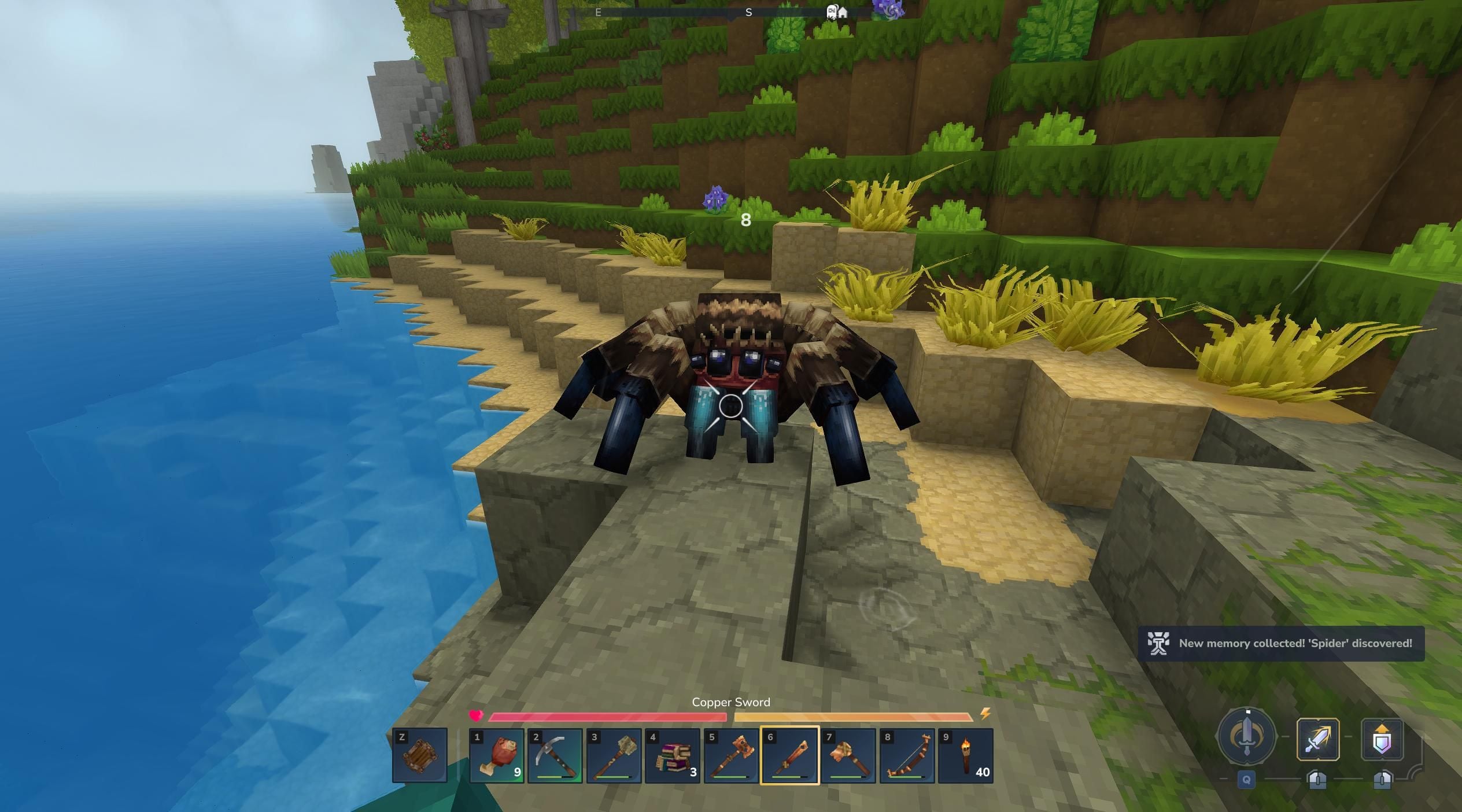 A spider on the beach.