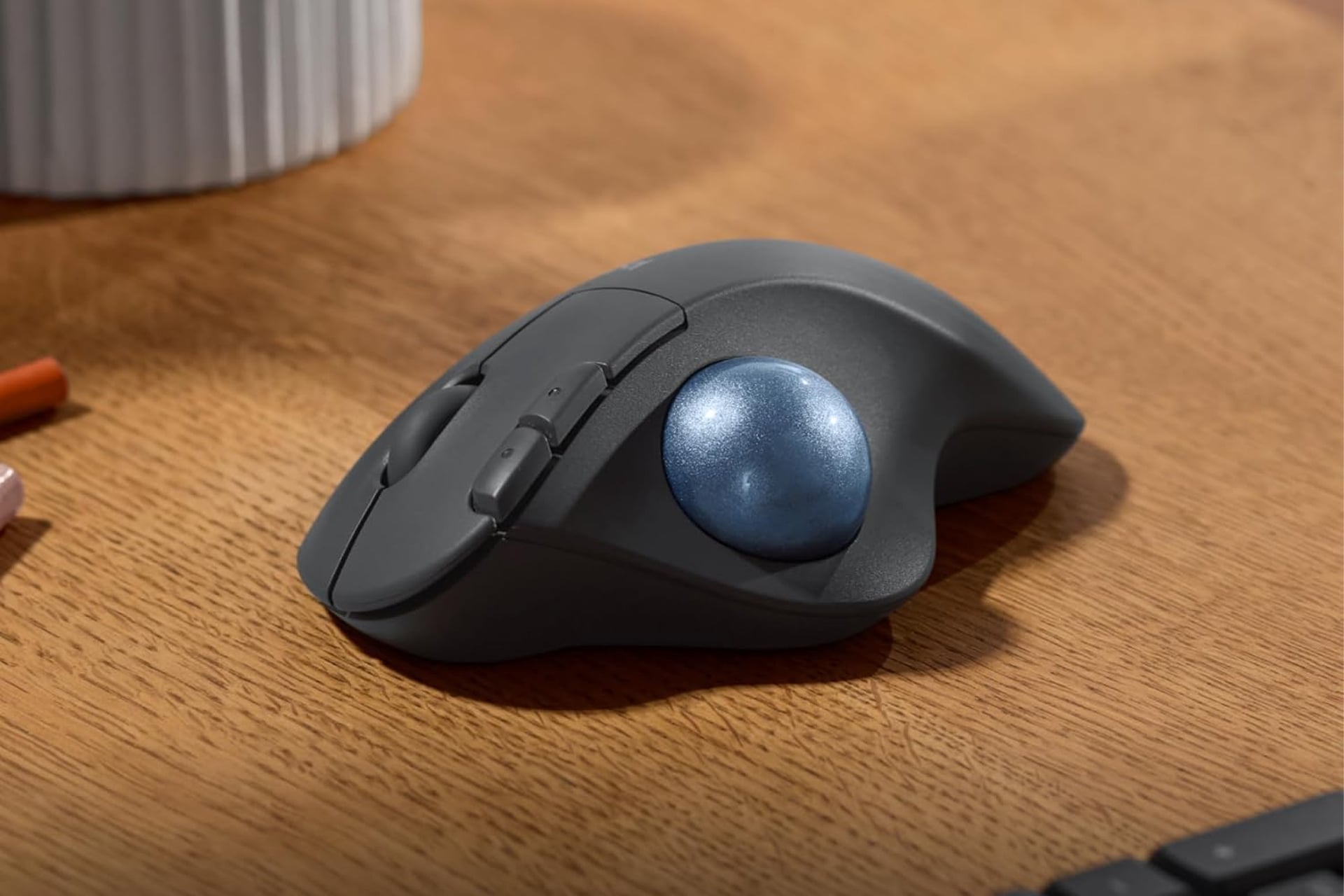 Logitechergotrackballmouse