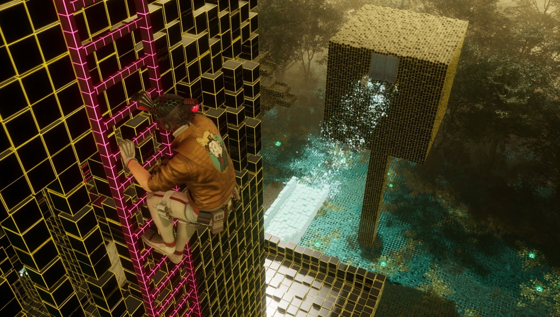 Romeo climbs up a ladder.