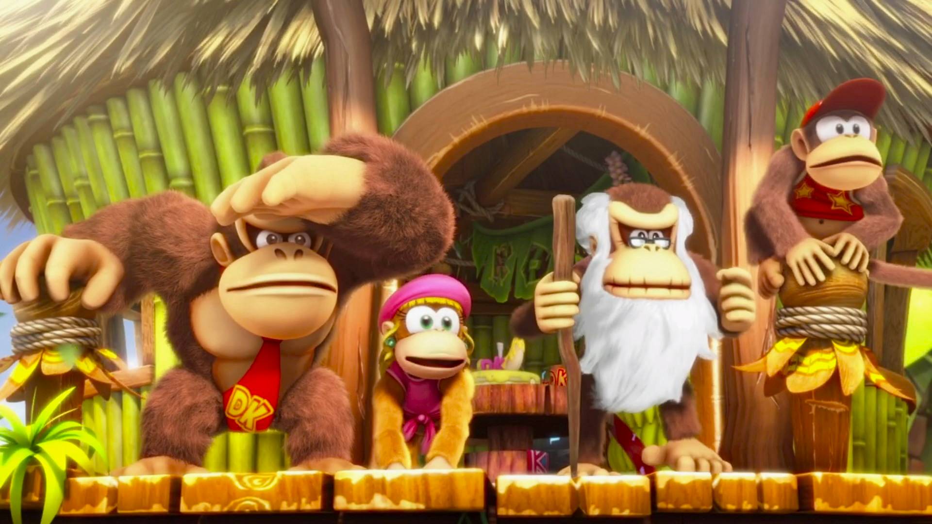 Cranky Kong looks out at the horizon.