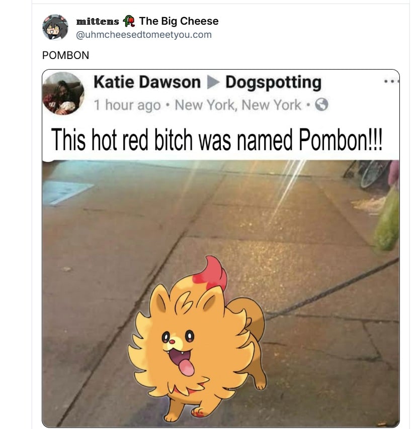 A screenshot shows a social media comment raving about Pombon.