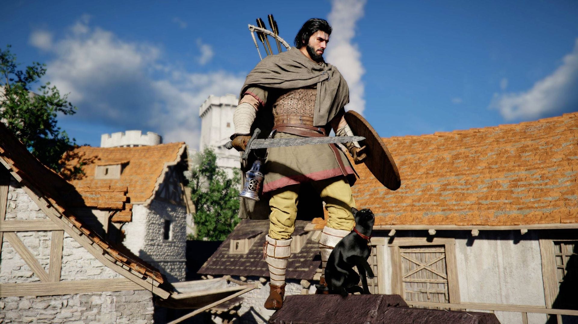 Crimson Desert Finding Cat