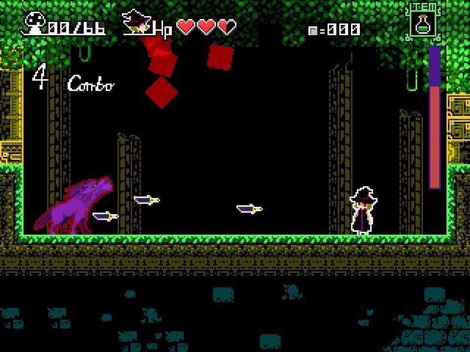 The Witch & the 66 Mushrooms