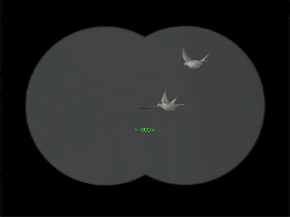 Bird Hunter 2003: Legendary Hunting