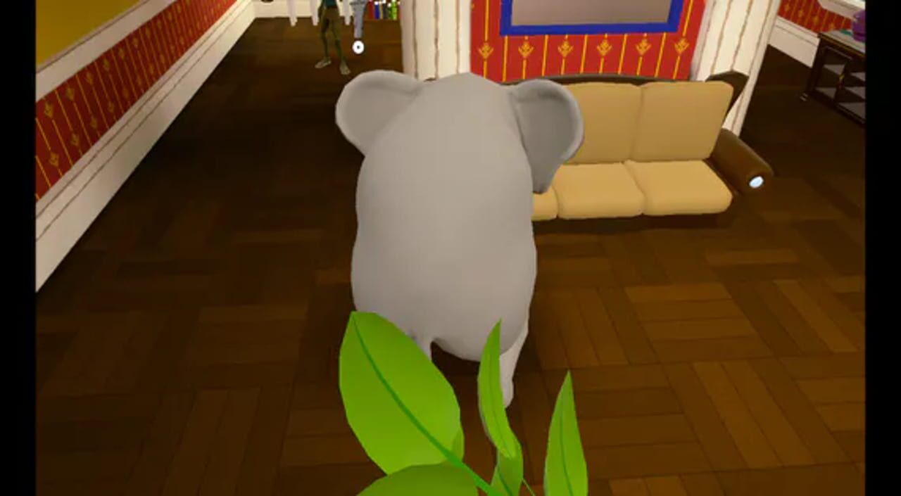 Elephant in the Room